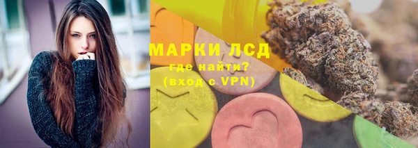 PSILOCYBIN Каменка