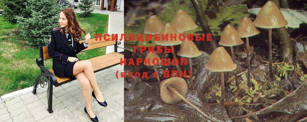 меф Каменногорск