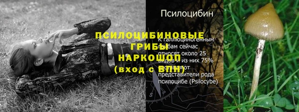 PSILOCYBIN Каменка