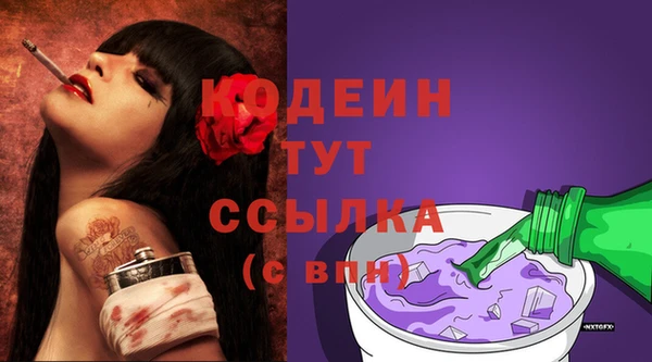 PSILOCYBIN Каменка